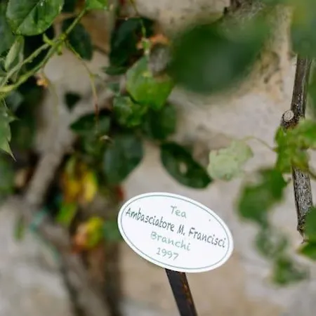 Apartamento T65 Holidays In Umbria - *